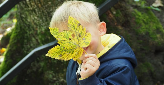 Chciałabym być matką idealną.
